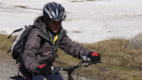 Clicca per vedere l'immagine alla massima grandezza