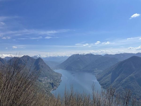 Clicca per vedere l'immagine alla massima grandezza
