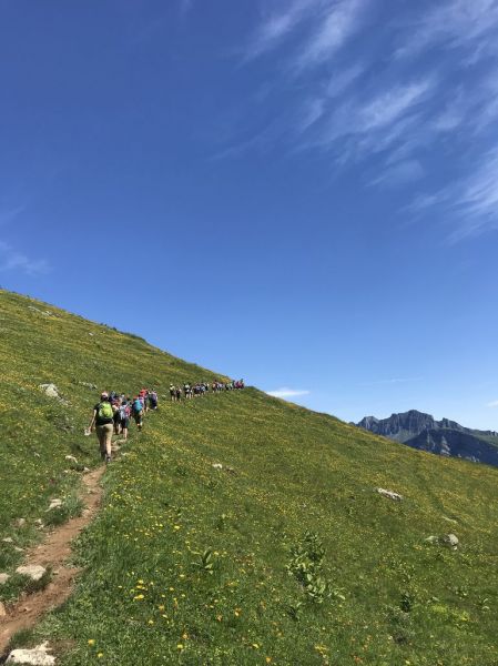 Clicca per vedere l'immagine alla massima grandezza