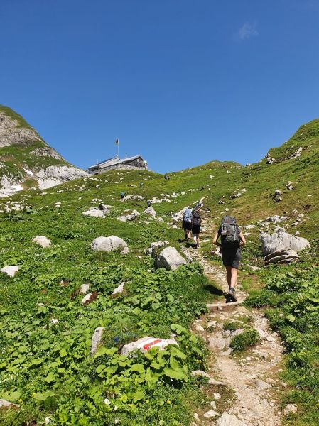 Clicca per vedere l'immagine alla massima grandezza
