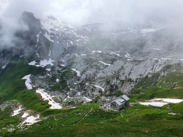 Clicca per vedere l'immagine alla massima grandezza
