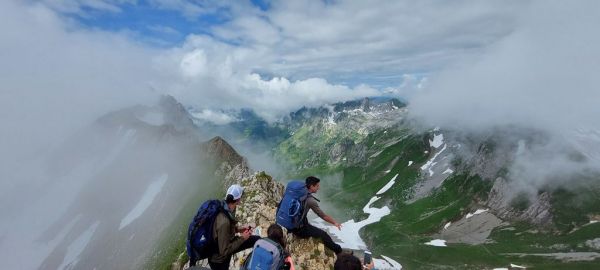 Clicca per vedere l'immagine alla massima grandezza