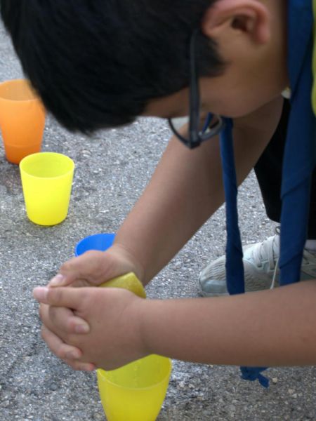 Clicca per vedere l'immagine alla massima grandezza