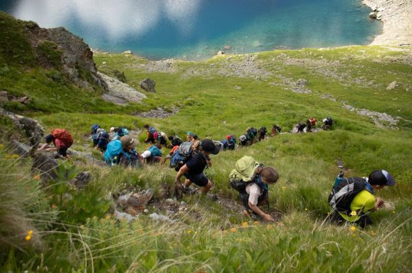 Clicca per vedere l'immagine alla massima grandezza