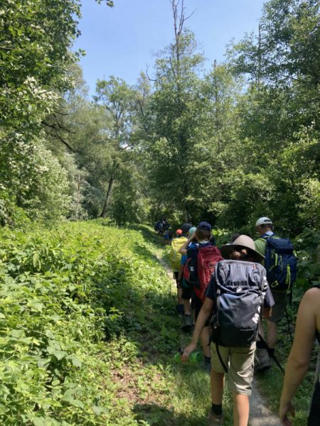 Clicca per vedere l'immagine alla massima grandezza