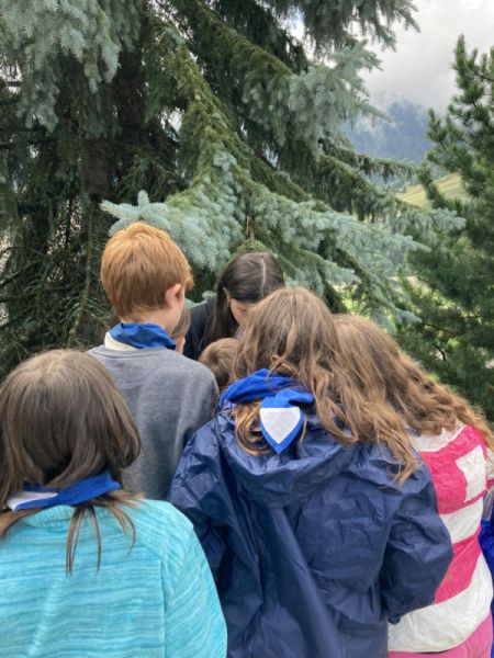 Clicca per vedere l'immagine alla massima grandezza