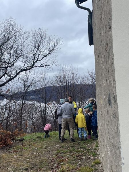 Clicca per vedere l'immagine alla massima grandezza