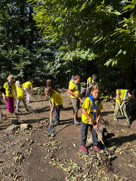Clicca per vedere l'immagine alla massima grandezza