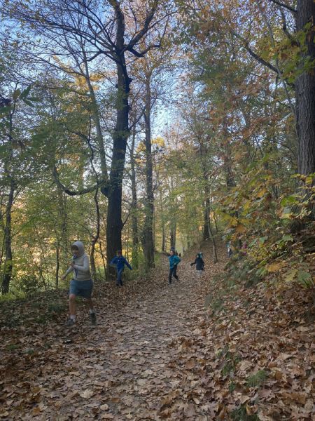 Clicca per vedere l'immagine alla massima grandezza