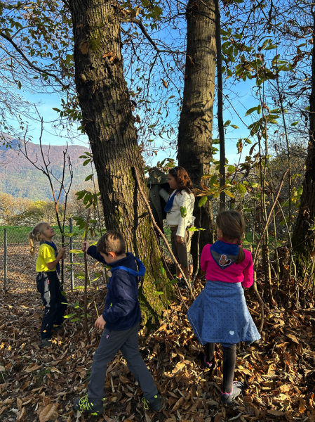 Clicca per vedere l'immagine alla massima grandezza