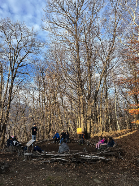 Clicca per vedere l'immagine alla massima grandezza