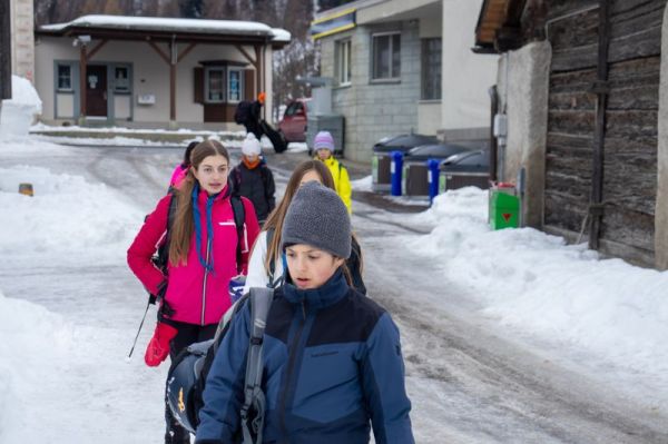 Clicca per vedere l'immagine alla massima grandezza