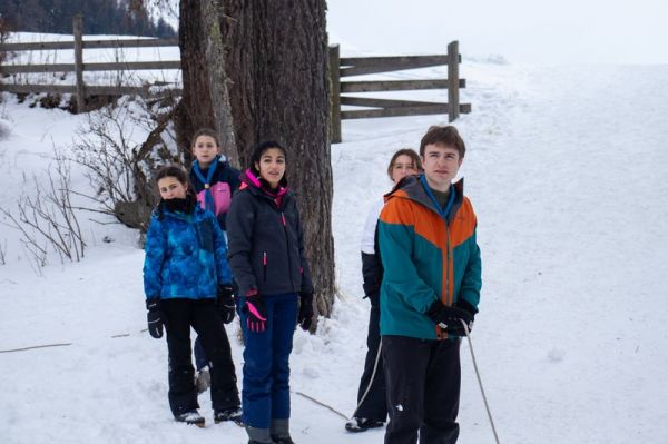 Clicca per vedere l'immagine alla massima grandezza