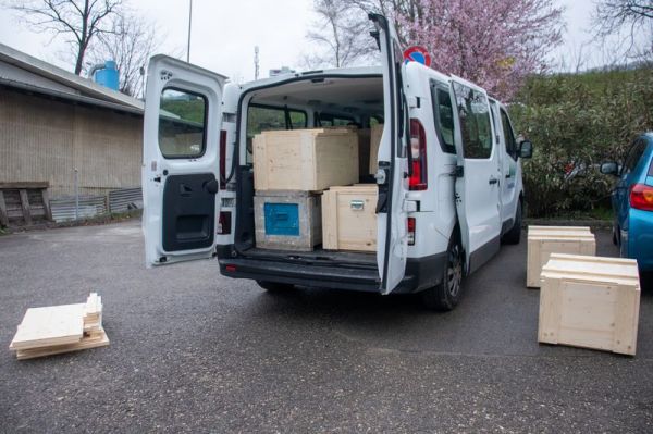 Clicca per vedere l'immagine alla massima grandezza