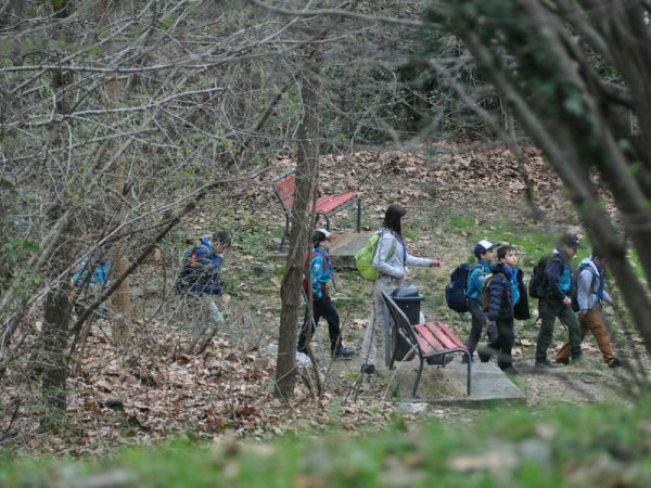 Clicca per vedere l'immagine alla massima grandezza