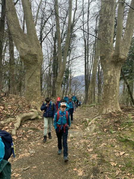 Clicca per vedere l'immagine alla massima grandezza