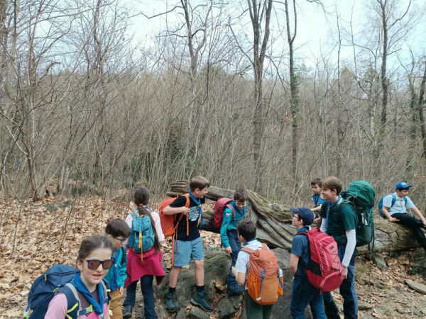Clicca per vedere l'immagine alla massima grandezza