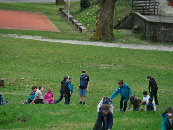 Clicca per vedere l'immagine alla massima grandezza