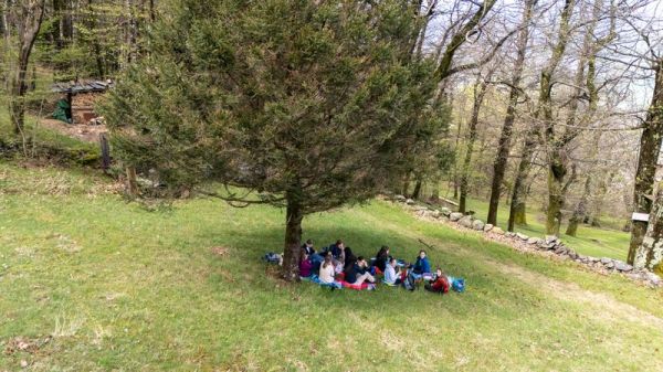 Clicca per vedere l'immagine alla massima grandezza
