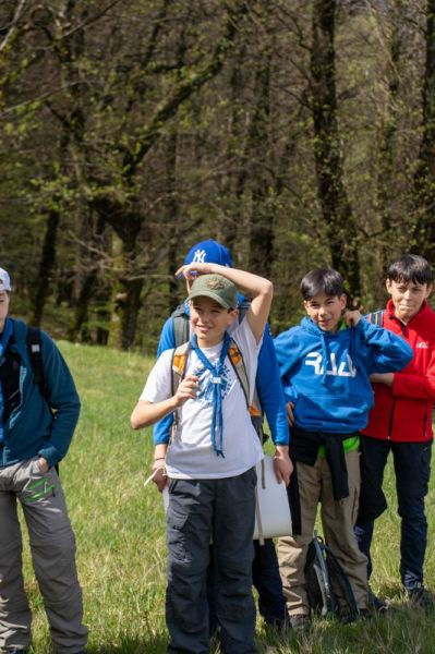 Clicca per vedere l'immagine alla massima grandezza