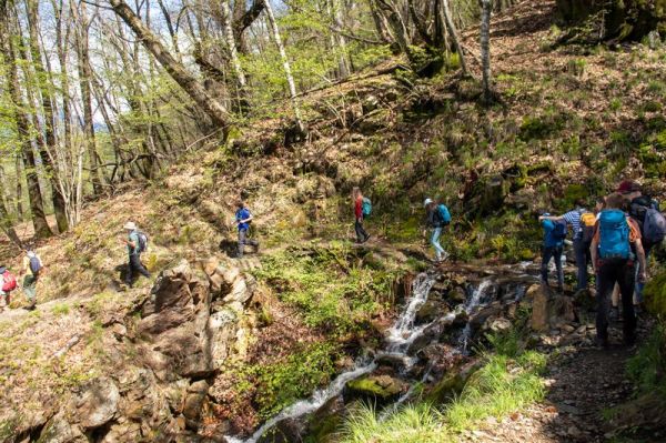 Clicca per vedere l'immagine alla massima grandezza