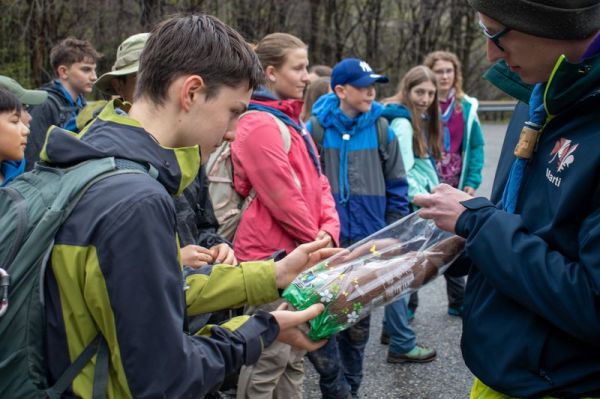 Clicca per vedere l'immagine alla massima grandezza