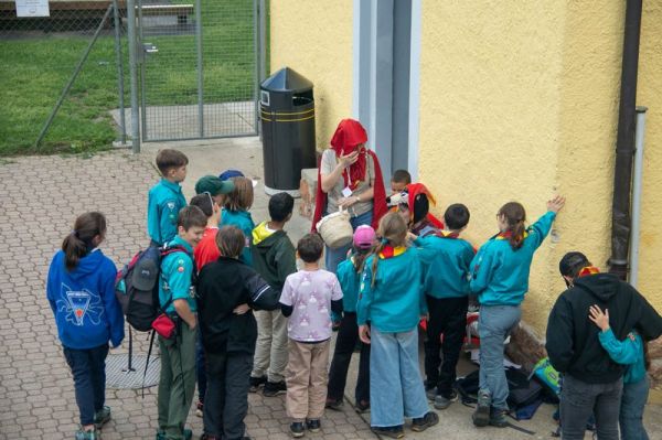 Clicca per vedere l'immagine alla massima grandezza