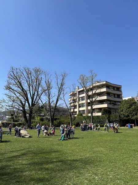 Clicca per vedere l'immagine alla massima grandezza