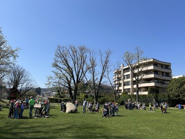 Clicca per vedere l'immagine alla massima grandezza