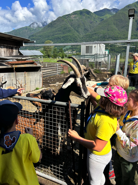 Clicca per vedere l'immagine alla massima grandezza