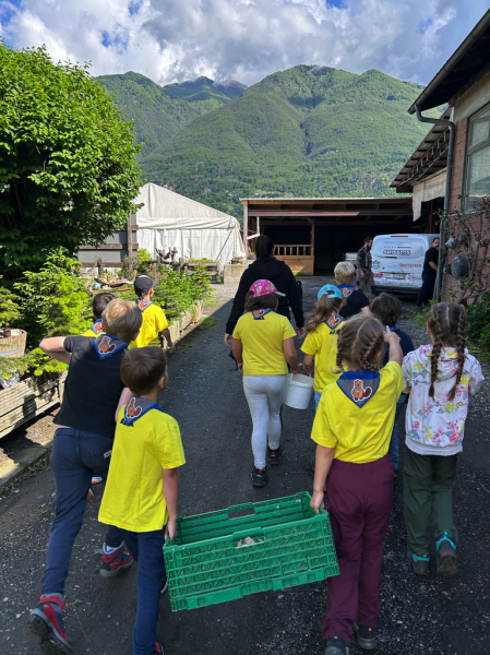 Clicca per vedere l'immagine alla massima grandezza