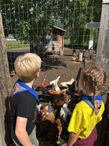 Clicca per vedere l'immagine alla massima grandezza