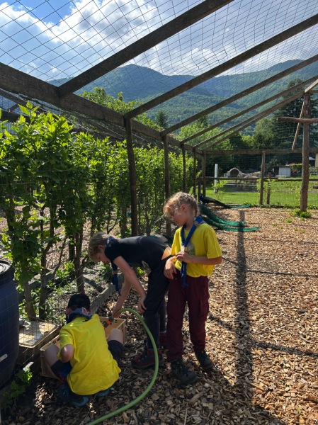 Clicca per vedere l'immagine alla massima grandezza