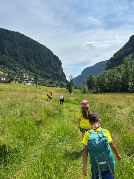 Clicca per vedere l'immagine alla massima grandezza