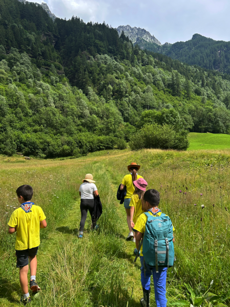 Clicca per vedere l'immagine alla massima grandezza
