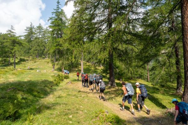Clicca per vedere l'immagine alla massima grandezza