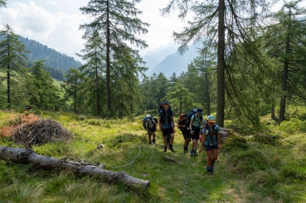 Clicca per vedere l'immagine alla massima grandezza
