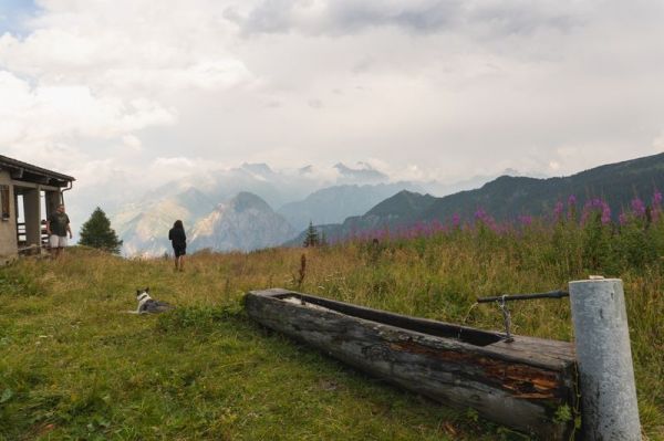 Clicca per vedere l'immagine alla massima grandezza