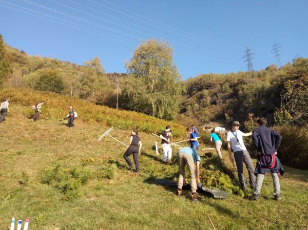 Clicca per vedere l'immagine alla massima grandezza