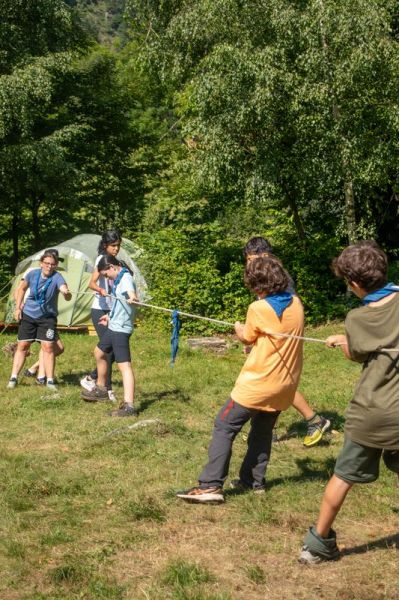 Clicca per vedere l'immagine alla massima grandezza