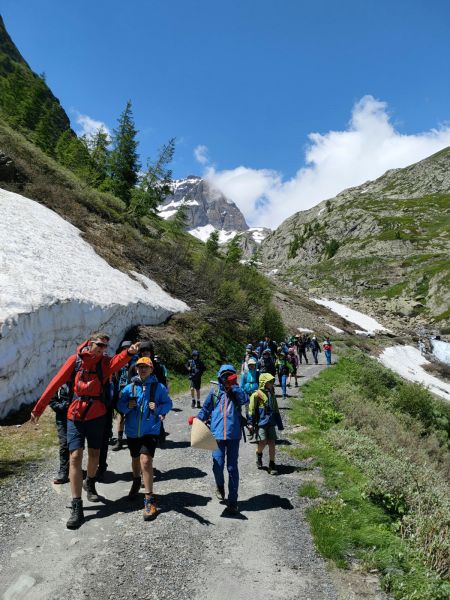 Clicca per vedere l'immagine alla massima grandezza