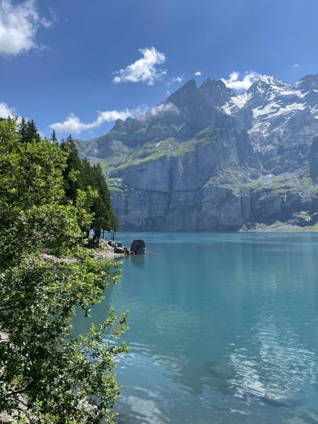 Clicca per vedere l'immagine alla massima grandezza