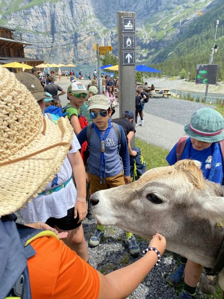 Clicca per vedere l'immagine alla massima grandezza
