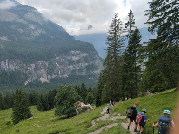Clicca per vedere l'immagine alla massima grandezza