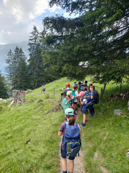 Clicca per vedere l'immagine alla massima grandezza