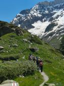 240630_LUPI_Campeggio_057.JPG