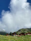 240630_LUPI_Campeggio_093.JPG