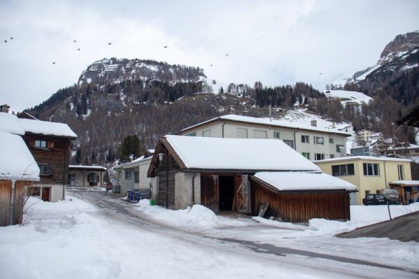 Clicca per vedere l'immagine alla massima grandezza