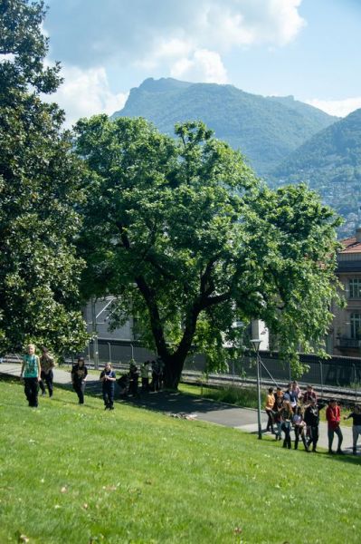 Clicca per vedere l'immagine alla massima grandezza