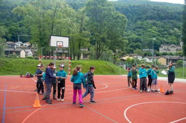Clicca per vedere l'immagine alla massima grandezza